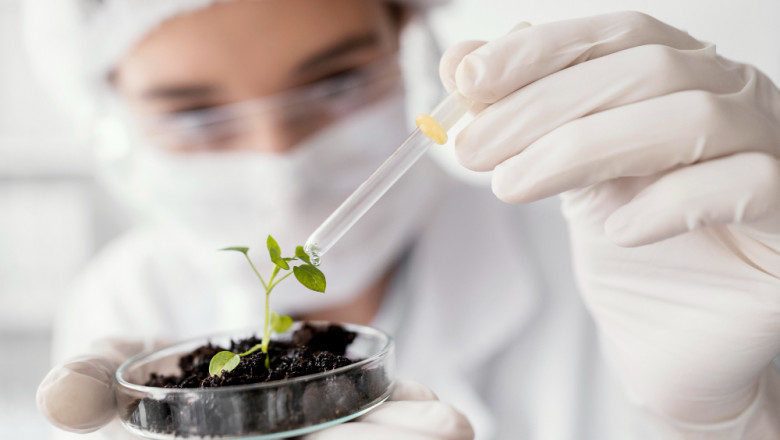 Biomaterials Market Analysis: Key Players, Trends, and Opportunities