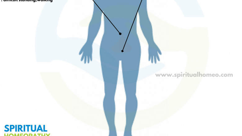 Effective Relief for Back Pain at a Trusted Homeopathy Clinic in Hyderabad