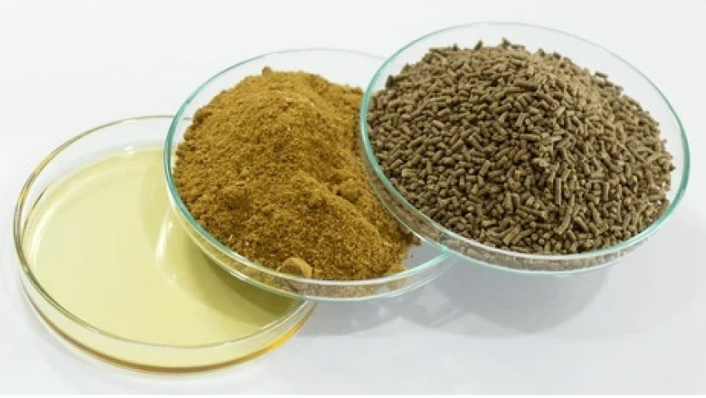 Feed Premix Manufacturing Cost Analysis: Plant Setup Report, Machinery and Raw Materials Requirement