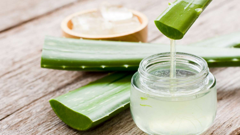 Aloe Vera Gel Manufacturing Plant Report, Project Economics, Setup Cost and Requirements