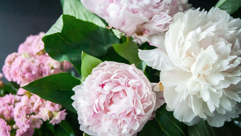7 Flowers for a New Relationship
