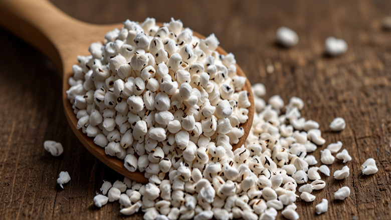 Cottonseed Prices, Chart, Trend, Monitor, Historical and Forecast Data