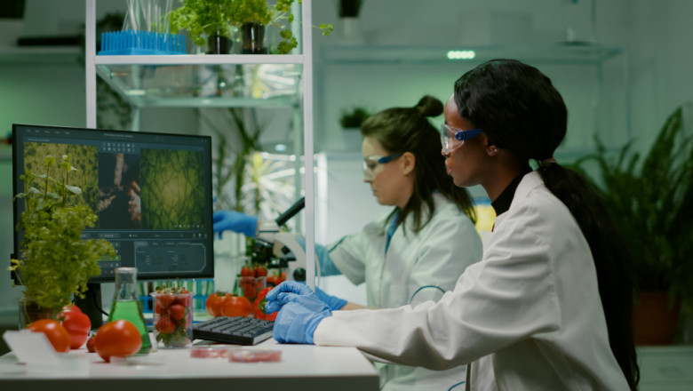 How the Bioinformatics Services Market is Transforming Healthcare & Research