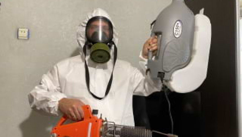 DFD Mold Elimination – Safe, Fast, and Professional