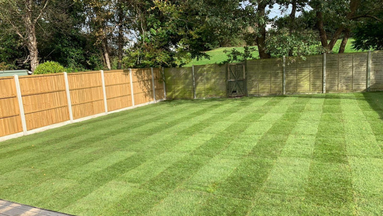 Dorset Fencing: Everything You Need to Know for the Perfect Garden or Property Boundary