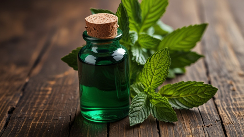 Peppermint Oil Price Trend 2025, Price Chart and Forecast