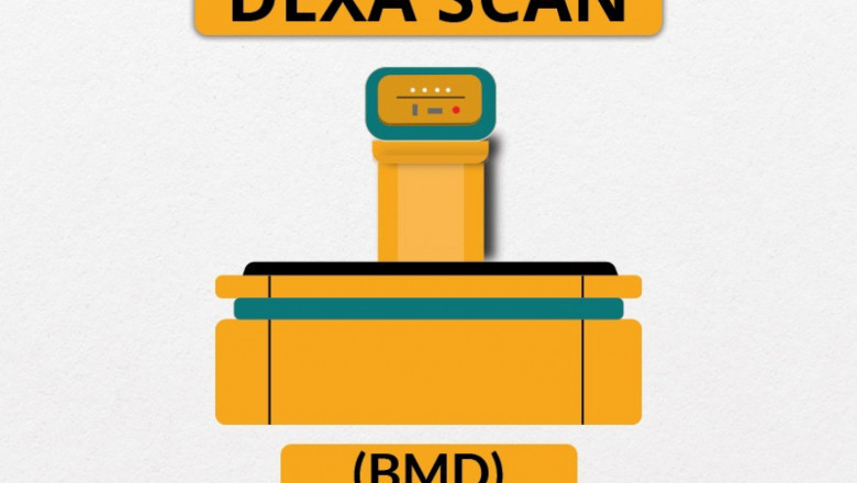 Understanding DEXA Scan Price: What You Need to Know