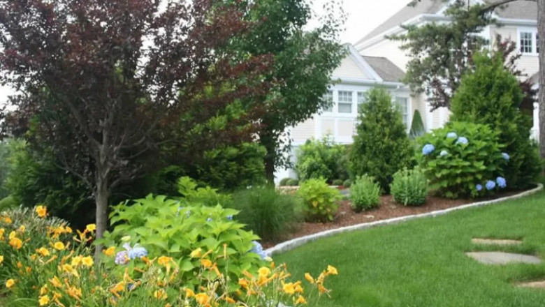 Where Beauty Begins: Superior Lawn Maintenance for South Shore Properties