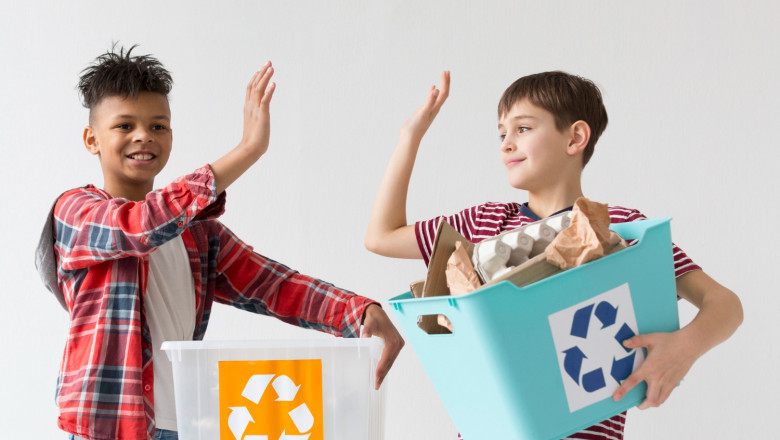 The Recycling Process Explained: From Bin to Rebirth