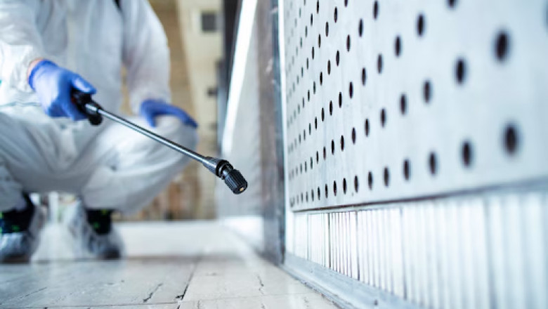 Top-Rated Pest Control in Aurora IL | Eco-Friendly & Affordable