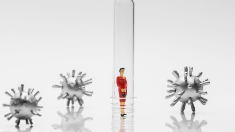 Viral Inactivation Market Analysis: Techniques, Applications, and Global Impact