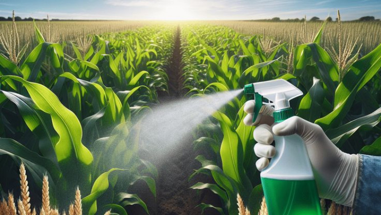 Fight Viral Diseases Head-On: Why VIRICIDES Are the Future of Crop Health