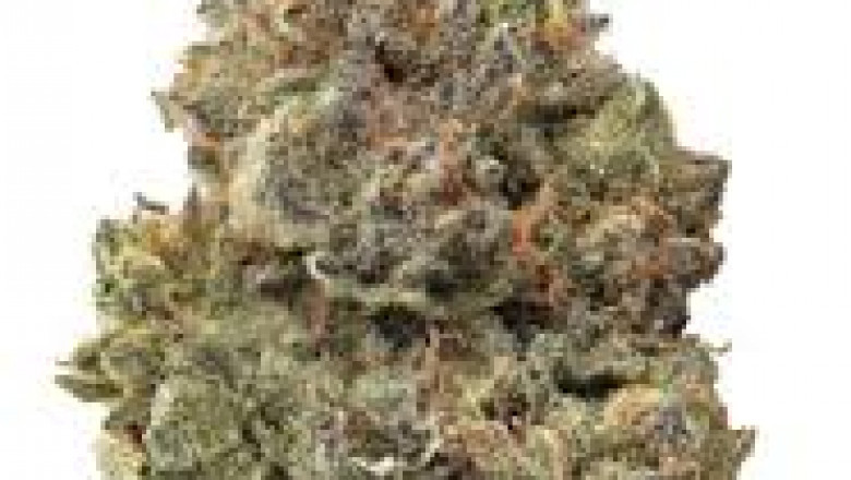 Strawberry Cough Weed Strain Review: A Flavorful Burst of Euphoria