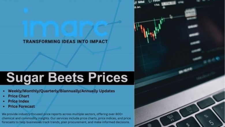 Sugar Beets Price Trend, Index, Chart and Forecast Analysis