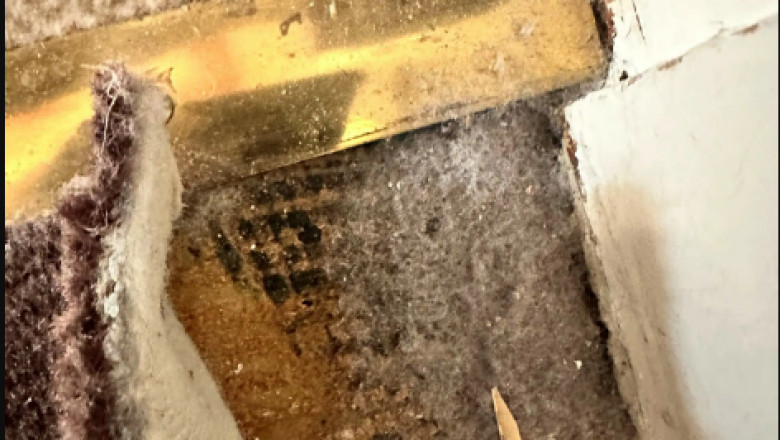 48h Sanierung Bonn - Asbestkleber & Bodenbelag-0221-96986861