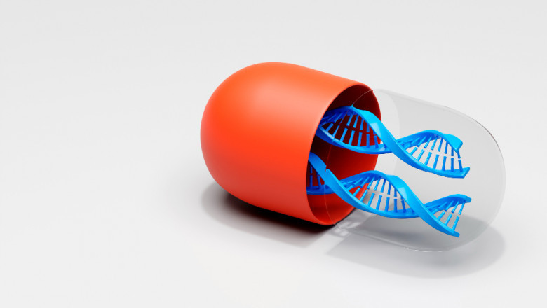 Erythromycin Market Outlook: Key Players, Applications, and Growth Opportunities