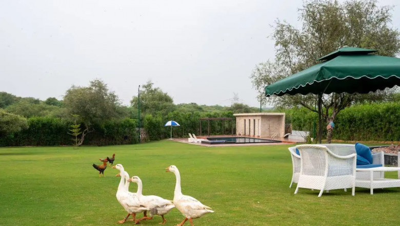 What Makes Kushal Rolling Hills Farmhouses Naugaon a Smart Property Choice?