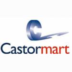 Castor mart Profile Picture